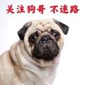电报频道的标志 sz8003 — 深圳宝安修车❗️宝安上门❗️宝安外围