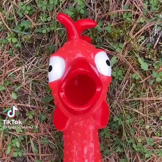 Telegram channel [Cannoli nel culo] ａｕｔｏｍａｔｉｚｚａｔｏ ｃａｃｃａｐｏｌｌａｇｇｉｏ ｓｉｎｉｓｔｒｏｖｅｒｓｏ logo