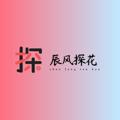 电报频道的标志 tanhua_zan — 探花招募-提供设备
