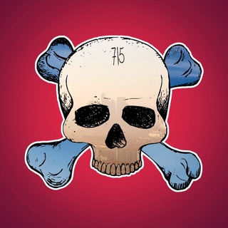 Telegram channel 715 TEAM | ОРУЖИЕ | ВОЕННЫЙ | НОВОСТИ logo