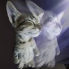 Telegram channel Teyyi 3d artist logo