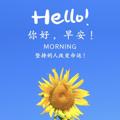 Telegram channel 重庆外围（小花花） logo