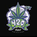 Logo of telegram channel thaoduoc420club — 🥦🥬𝕋𝕙ả𝕠 𝔻ượ𝕔 𝕊𝕥𝕠𝕣𝕖🥬🥦