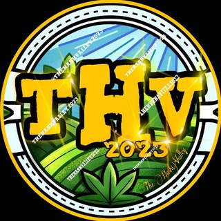 Logo of telegram channel the_hashvalley — The Hash Valley 🇲🇦 Official