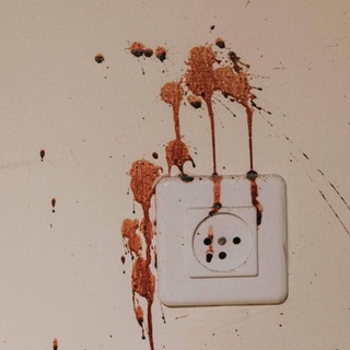 Telegram channel The Slaughter 710 logo