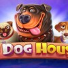 Telegram channel The Dog House logo