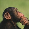 电报频道的标志 thisworldfeed — Thisworldfeed