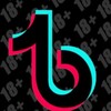 Telegram channel Tiktok18  Việt Nam logo