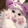 Логотип телеграм канала @top1media — Сеть каналов Top1Media | Catalog