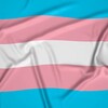 Telegram channel Trans community logo
