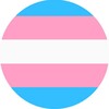 Telegram channel trans & shemale beauties logo