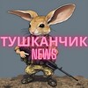 Telegram channel Тушканчик News logo
