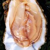 Logo of telegram channel uwhbsjdbnrn — Shells
