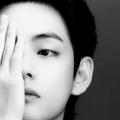 Logo des Telegram-Kanals vantaehyunkv - eros
