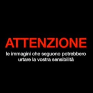 Logo del canale Telegram videomieisensibili - Video sensibili