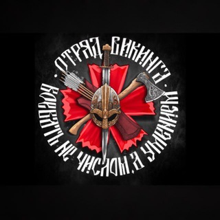 Telegram channel ОТРЯД ВИКИНГА logo