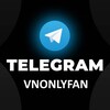 Telegram channel VNonlyfan logo