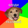 Telegram channel Броди - Разливай logo