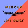 Telegram channel Webcam 4_Real logo