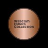 Telegram channel Webcam Hunks Collection logo
