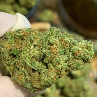 Logo de la chaîne Telegram weedfrance — Bon coin Weedfrance 🍁☘️💊🍫