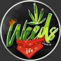 Telegram channel Weeds Life 🌿🔞 logo
