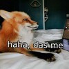 Telegram channel 🦊Yapper Fox🦊 logo