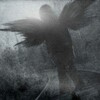 Логотип телеграм канала @wingraf_klan — Канал WINGRAFFU