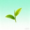电报频道的标志 xcpwei — 杭州选品