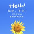 电报频道的标志 xm668886 — 厦门外围（小花花）
