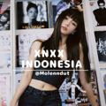 Telegram channel XNXX INDONESIA logo