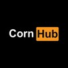 Logo of telegram channel xvideos8690 — Cornhub