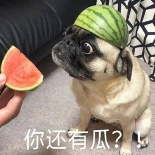 电报频道的标志 xw869 — 🍉TG第一吃瓜/黑料猎奇🍉