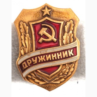 Telegram channel Дружинник logo