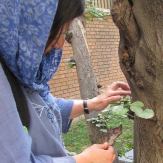 لوگوی کانال تلگرام yaldaebtehaj — Yalda Ebtehaj