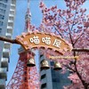 Telegram channel 🇯🇵^日本喵喵屋高級出張|東京大阪外送茶|日本外卖 logo