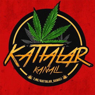 ☘ Kattalar kanali 🔞 - Telegram Channels