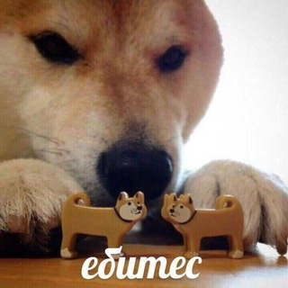 Логотип телеграм канала @yeshom0 — DROCH HUB