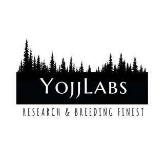 Логотип телеграм канала @yojj_labs — Лаборатория «ЙОЖЖ»