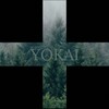 Telegram channel Yokai logo