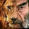 Telegram channel زينو ياسر محاميد logo