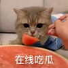 Telegram channel 💋新电报吃瓜🍉色情版 logo