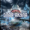 Telegram channel ЗЛАЯ АКУЛА logo