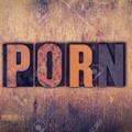 Telegram channel Porn Zone logo