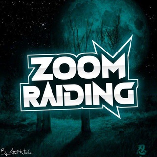 Telegram channel ZOOM RAIDS logo