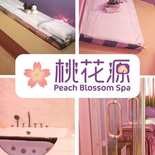 电报聊天的标志 blossomspa — 桃花源客戶服務站