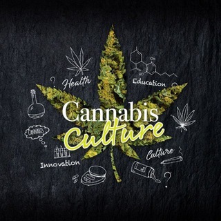 Логотип телеграм-чата canna_cult420 — Cannabis culture [Таиланд] 💨