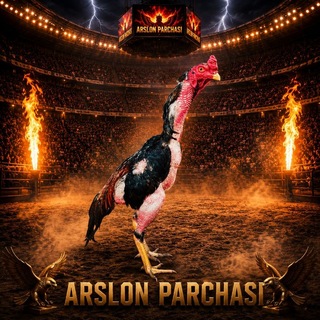 Логотип телеграм-чата champion_xorozlar — 🦅ЧЕМПИОН🦅