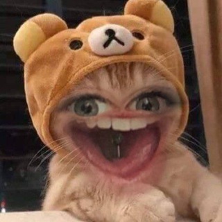 Логотип телеграм-чата linaasmr — Обсудим 🤫