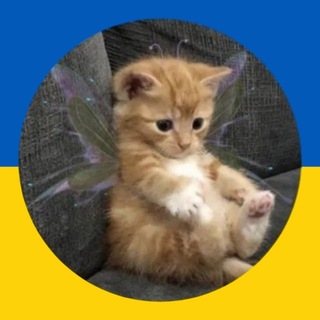 Логотип телеграм-чату rolkaukraine — 🏳️‍🌈Пошук співгравців | Ролка українською | Укр рольова | пошук соролів🏳️‍🌈